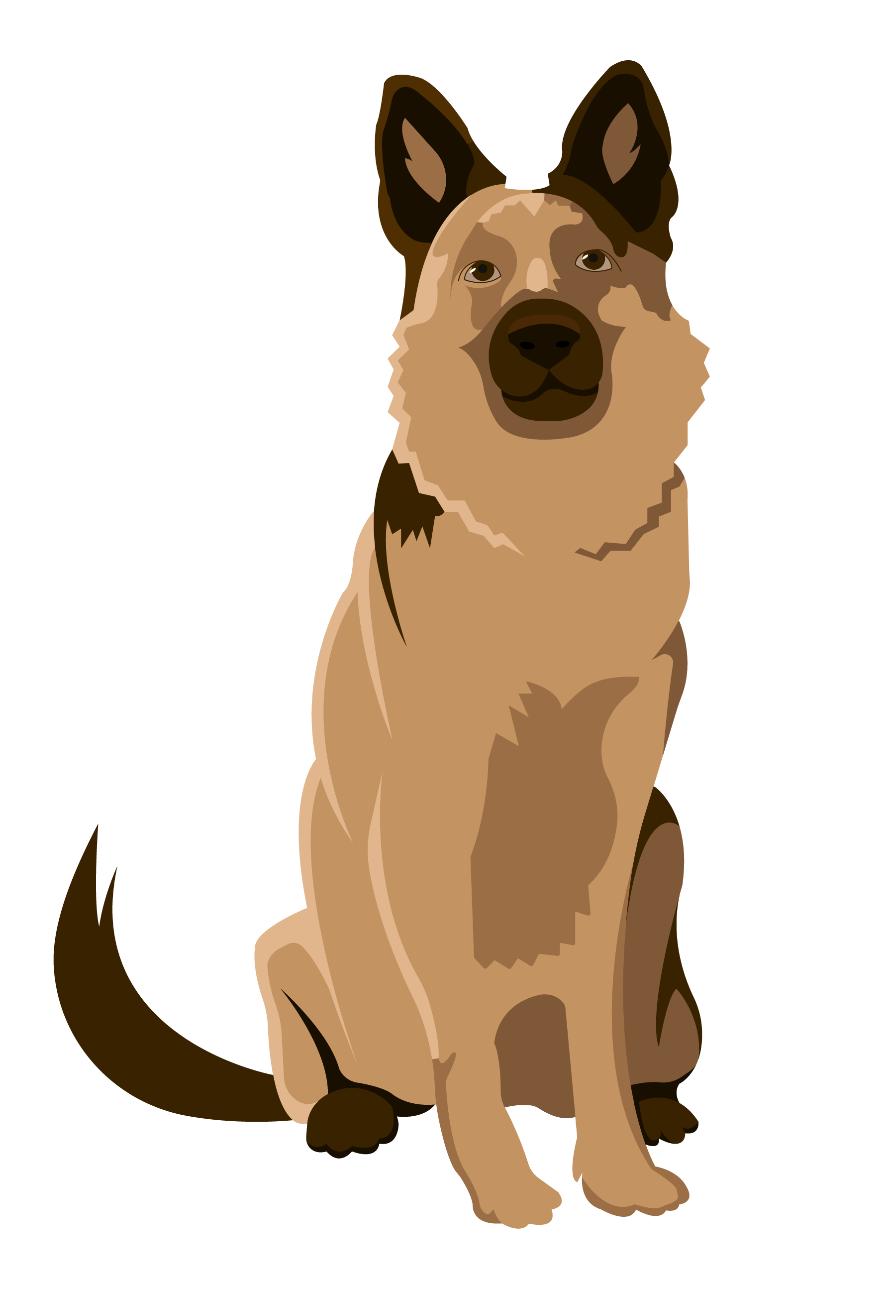 Illustratie van een hond uit het project