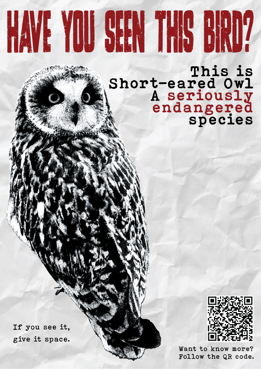 Wild in de Achtertuin