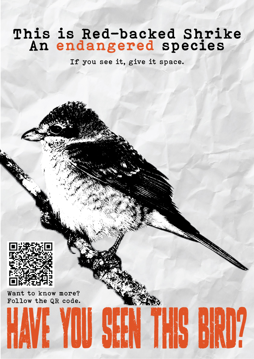 Derde poster van Wild in de Achtertuin